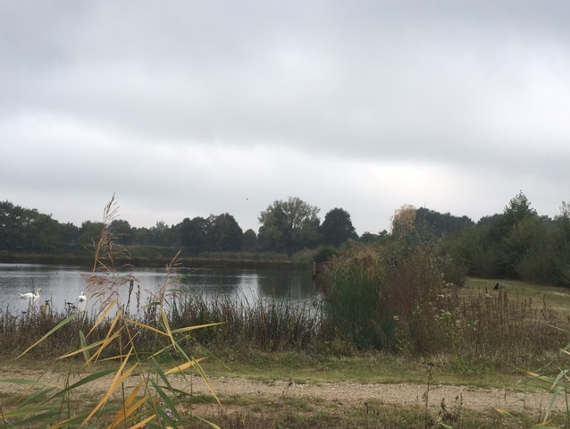 Uitzicht over het werk