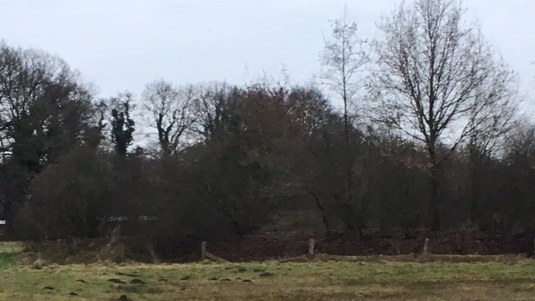 Ander foto van de houtwal