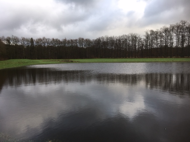 Foto van de poel