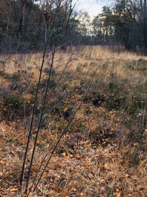 Foto 1 van de werkplek