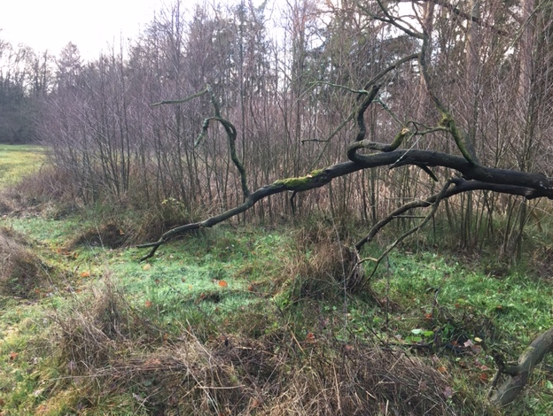 A20190104 2