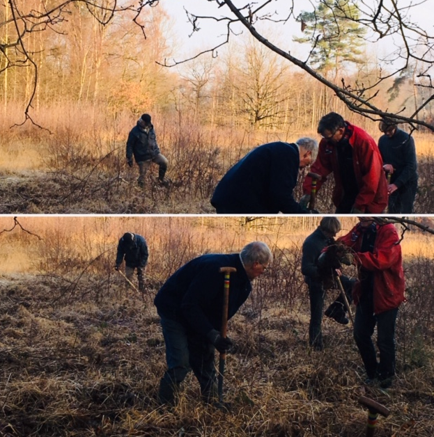 De vrijdaggroep tussen de vossenbessen