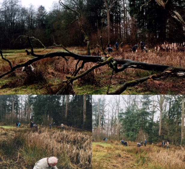 Foto's van de vorige werkdag op de Schaapskamp