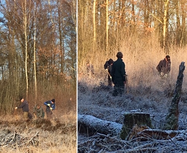 Werken op de Schaapskamp 1