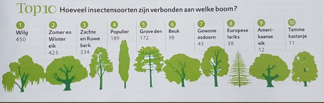 Aantal insectensoorten per boom