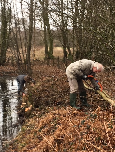 Opschonen poel