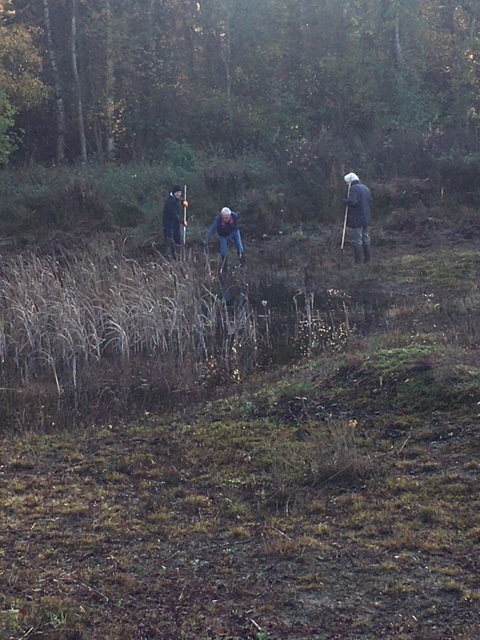 Aan het werk bij de poel