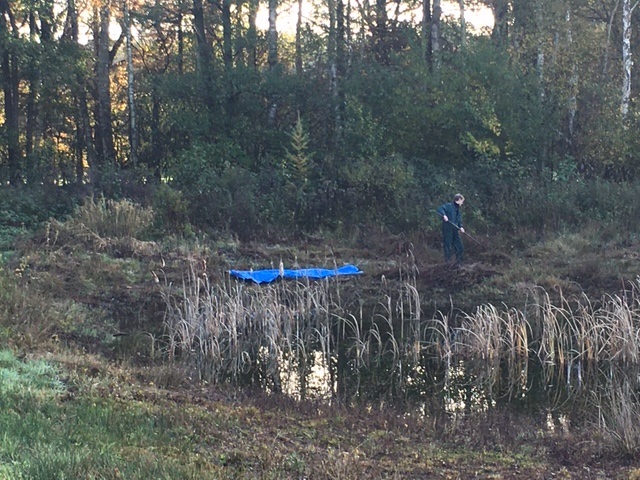 Werk aan de poel met het vliegend tapijt