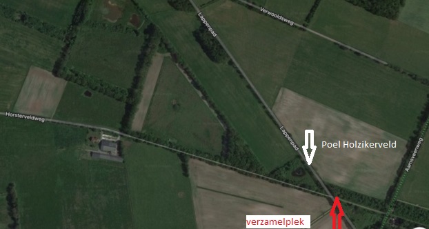 Verzamelplek poel Holzikerveld