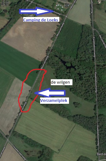De verzamelplek voor het Wilgen knotten