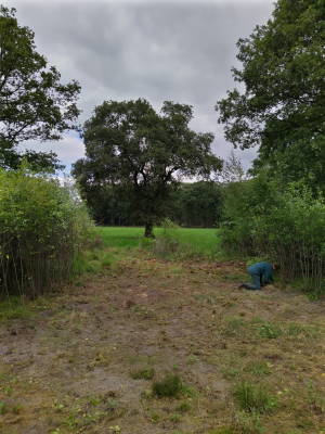 Doorgang-foto 1