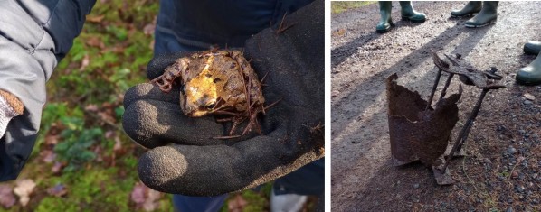 Kikker op handschoen en onbekend metalen voorwerp