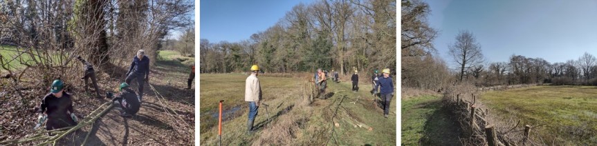 Slepen met omgezaagde boom; vrijwilligers op een kale dijk en het eindresultaat van gevlochten takken